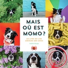 Mais où est momo ? un livre où l'on cherche son chien