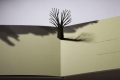 Little tree