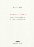 Perspective dépravée. Entre catastrophe réelle et catastrophe imaginaire